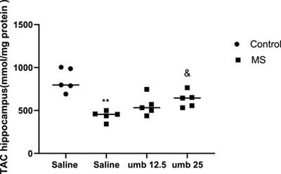 Umbelliprenin via increase in the MECP2 and attenuation of oxidative stress mitigates the autistic-like behaviors in mouse model of maternal separation stress